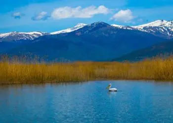 Festival unites people from all three Balkan countries sharing Lake Prespa