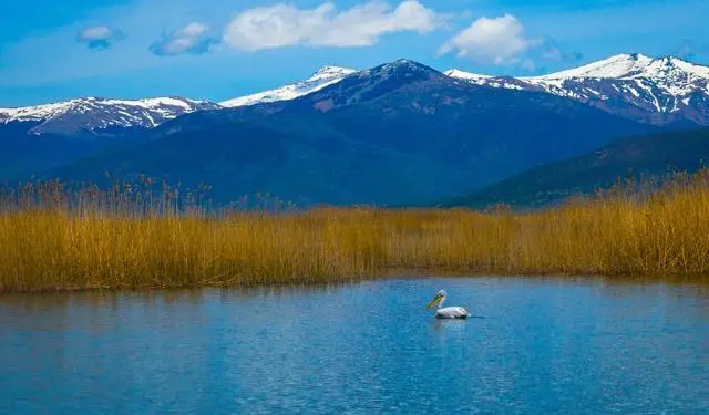 Festival unites people from all three Balkan countries sharing Lake Prespa