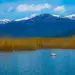 Festival unites people from all three Balkan countries sharing Lake Prespa