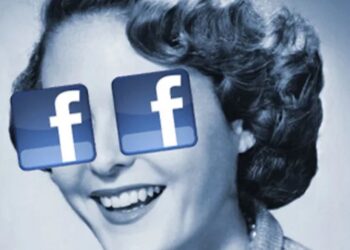 Social networks and the age of stupidification: A deepening crisis